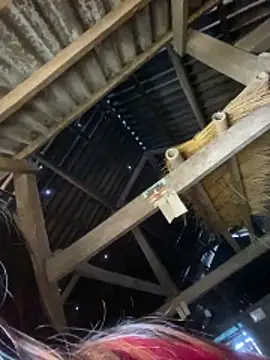 O o UwU o O online show from 03-08-26, 03:10