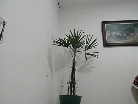 Young handsome online show from 09-11-25, 01:28