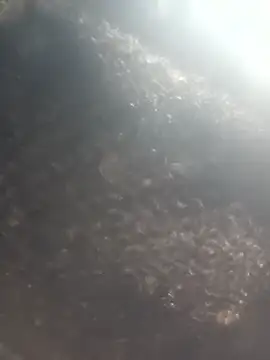 Hot era online show from 01-08-26, 07:10