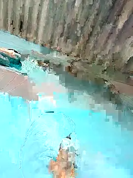 Hot-honi online show from 12-22-25, 09:06