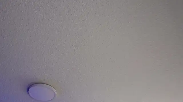  Charlotte Collins  online show from 07-24-26, 04:27