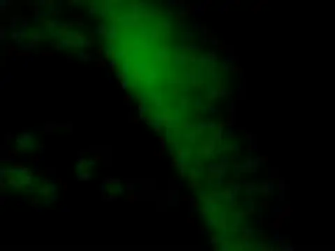 Snapshot of Sir_kev66 chatting on 06-12-26, 04:44 Sir kev66 online show from 06-12-26, 04:44