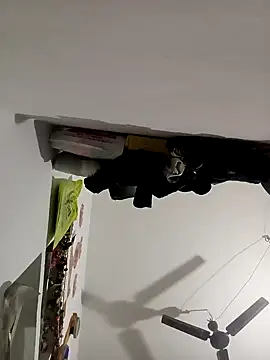 Payal950 online show from 11-08-25, 12:22