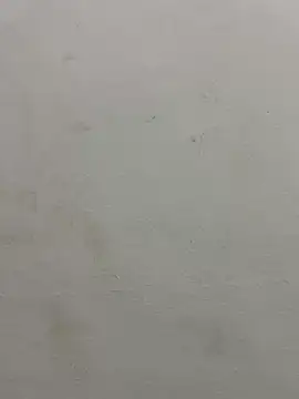 Snapshot of jully-jully chatting on 09-24-25, 02:59 jully-jully online show from 09-24-25, 02:59