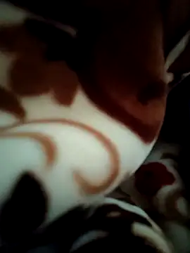 Hot pooja55 online show from 02-11-26, 06:51