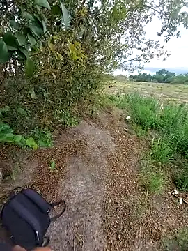 magraocam online show from 11-06-25, 04:08