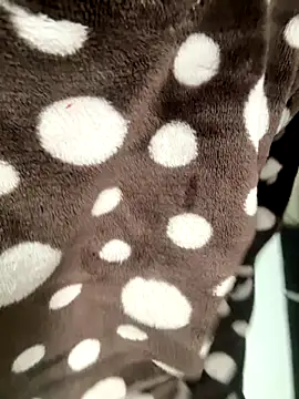 HeerStd online show from 11-17-25, 05:24