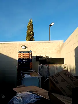 Dropdingo online show from 11-11-25, 01:33