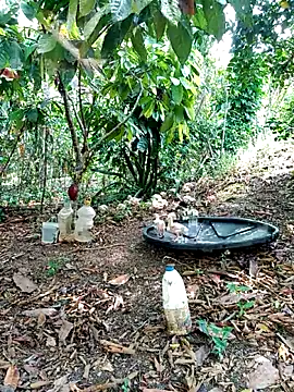 AlphaAlterX online show from 03-02-26, 03:52