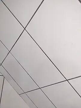 Novin23cms online show from 12-19-25, 04:03