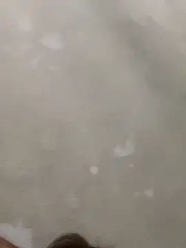 Doggy8668 online show from 03-03-26, 07:42