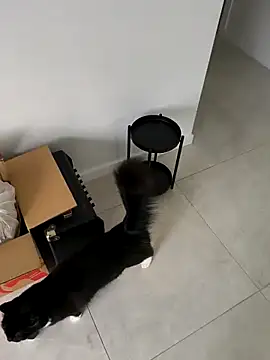 aussiepeaches online show from 04-06-26, 01:25