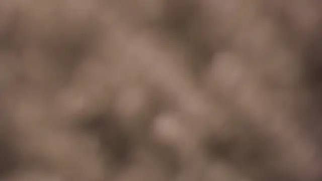 lauren bigboobs22 online show from 03-04-26, 06:14