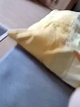 boxerundsocken91 online show from 04-22-26, 04:41