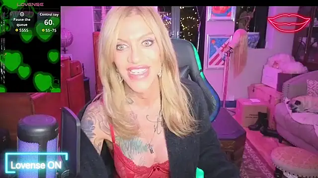 xl uk top trans online show from 04-21-26, 10:12