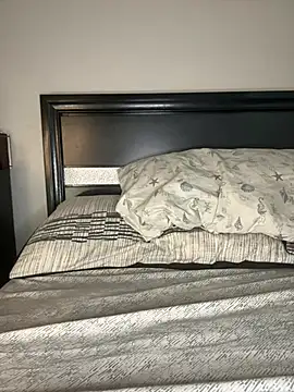 latina curvy22 online show from 03-29-26, 07:58