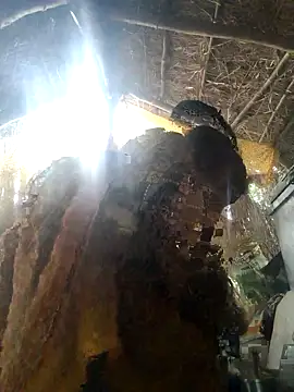 LUCKY cut online show from 11-22-25, 03:05