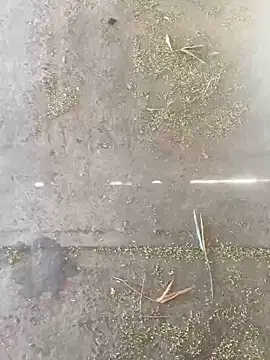 Chico031289 online show from 10-28-25, 07:16