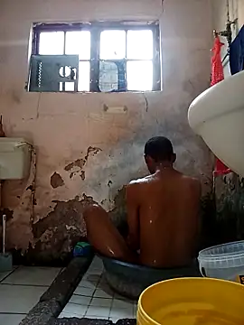 average price online show from 11-28-25, 04:37