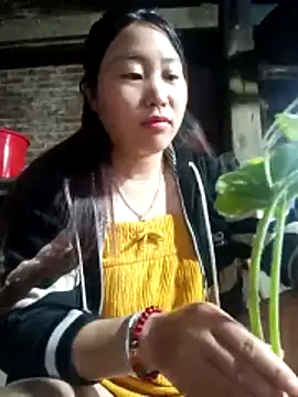 siki-00 online show from 10-25-25, 11:54