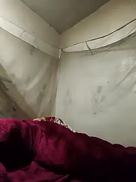 siki-00 online show from 01-07-26, 02:52