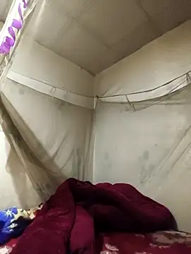 siki-00 online show from 02-15-26, 08:13