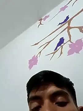 DavidVergagigante420 online show from 10-29-25, 05:20