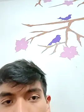 DavidVergagigante420 online show from 11-17-25, 03:01