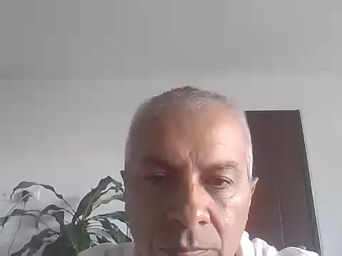 Snapshot of ALFRERM chatting on 10-12-25, 07:35 ALFRERM online show from 10-12-25, 07:35