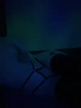 gjollyros online show from 02-18-26, 08:16