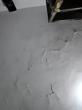 Ferxxxo1503 online show from 02-06-26, 05:45