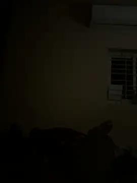 Chaitu-teluguhot online show from 02-27-26, 07:03