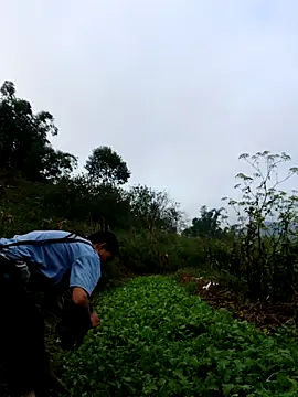 kemtuoi-sex online show from 10-03-25, 01:13