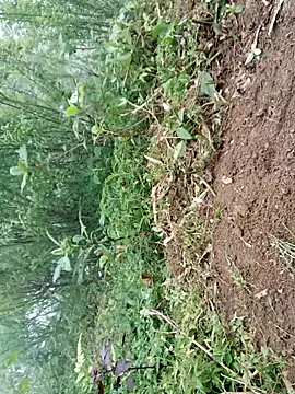 kemtuoi-sex online show from 04-19-26, 09:41