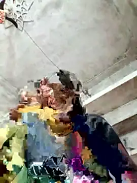 Cm pooja online show from 01-10-26, 10:39