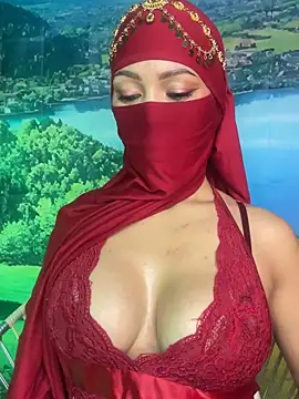 Snapshot of _hafsa_ chatting on 11-03-25, 11:22 hafsa online show from 11-03-25, 11:22