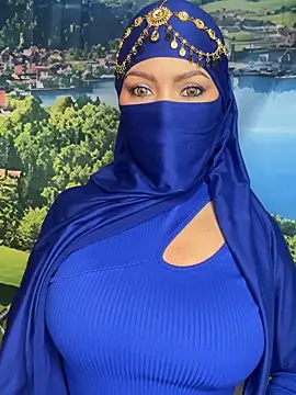 Snapshot of _hafsa_ chatting on 11-08-25, 11:21 hafsa online show from 11-08-25, 11:21