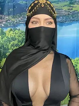 Snapshot of _hafsa_ chatting on 11-10-25, 11:09 hafsa online show from 11-10-25, 11:09