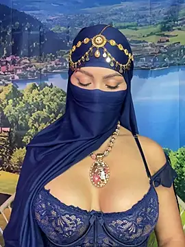 Snapshot of _hafsa_ chatting on 11-11-25, 11:21 hafsa online show from 11-11-25, 11:21