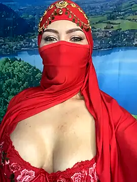 Snapshot of _hafsa_ chatting on 11-22-25, 11:31 hafsa online show from 11-22-25, 11:31