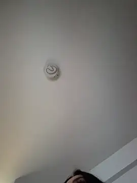 Andrestarr online show from 03-26-26, 04:01