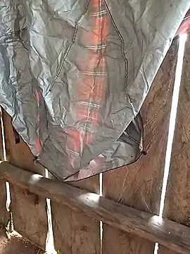 bonnie-00 online show from 11-04-25, 03:16