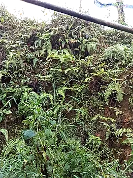 bonnie-00 online show from 04-19-26, 11:07