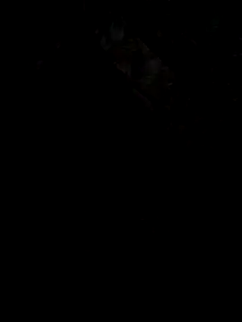 UnhopedDear online show from 03-25-26, 07:20