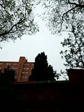 Snapshot of oliver_sanders chatting on 03-09-26, 08:29 oliver sanders online show from 03-09-26, 08:29