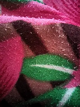 bold guy 1234 online show from 10-15-25, 05:07