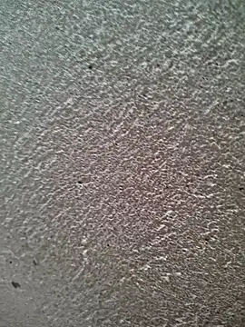 bold guy 1234 online show from 03-30-26, 06:03