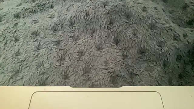 23istanblue23 online show from 04-02-26, 03:20