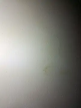 BigD Mikee online show from 12-17-25, 04:46