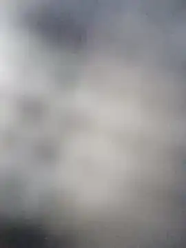 ipvk online show from 04-20-26, 12:30